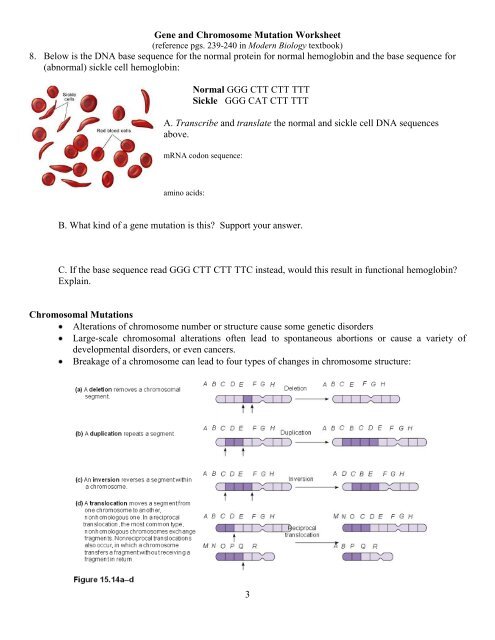 Gene Mutations Worksheet Answers Promotiontablecovers