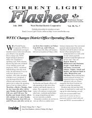 Current Light Flashes - Westflorida.coop