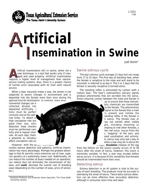 Artificial Insemination of Swine - Department of Animal Science ...