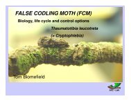 (= Cryptophlebia) FALSE CODLING MOTH (FCM)