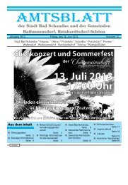 Ausgabe 26. KW 2013 - Bad Schandau