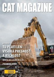 CAT MagazÃƒÂ­n - JanuÃƒÂ¡r 2010 - Phoenix Zeppelin