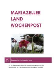 Mariazeller Land Wochenpost KW 28-29 - Mariazellerland Blog