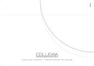 Untitled - Collexia