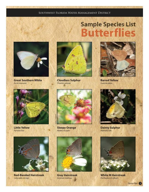 butterflies - cover sheet.ai - Southwest Florida Water Management ...