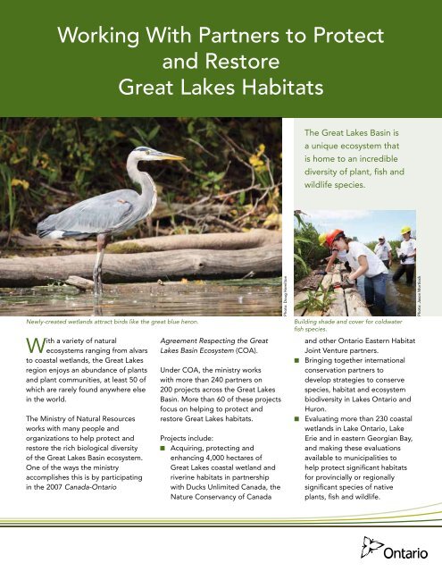 Working With Partners to Protect and Restore Great Lakes Habitats