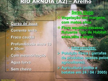 Qualidade da da Ãgua no Rio Arnoia