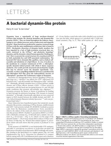 nature BDLP 2006.pdf