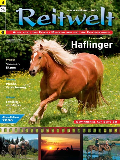 Haflinger - Reitwelt