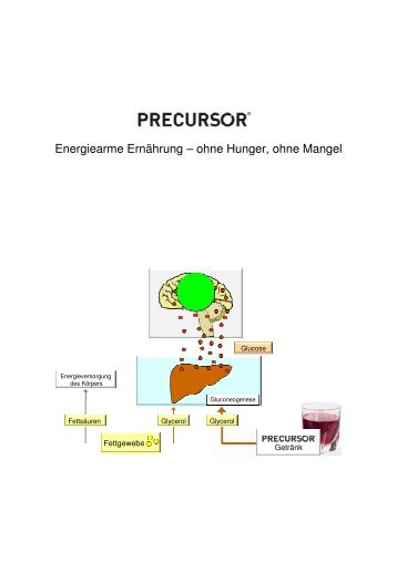 Handbuch für den Anwender - Precursor Vertrieb