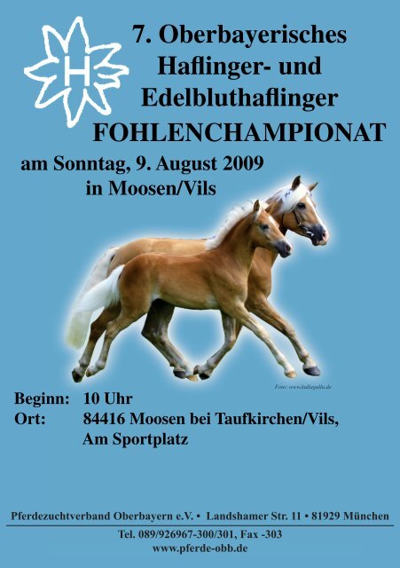 Katalog Moosen 2009 - Pferdezuchtverband Oberbayern eV