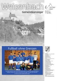 Gemeindeanzeiger 15/2013 Seite 17 - weisenbach.de