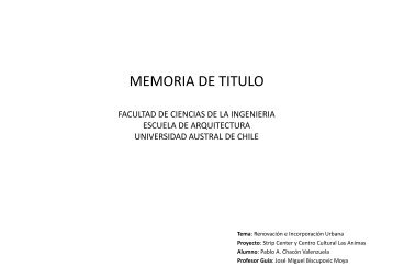 memoria de titulo - CyberTesis UACh - Universidad Austral de Chile