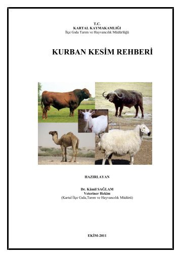 Kurban Kesim Rehberi (PDF) - Kartal İlçe Gıda Tarım ve Hayvancılık ...