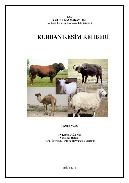 Kurban Kesim Rehberi (PDF) - Kartal İlçe Gıda Tarım ve Hayvancılık ...