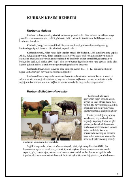 Kurban Kesim Rehberi (PDF) - Kartal İlçe Gıda Tarım ve Hayvancılık ...