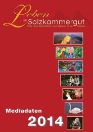 Mediadaten 2014 - Leben im Salzkammergut