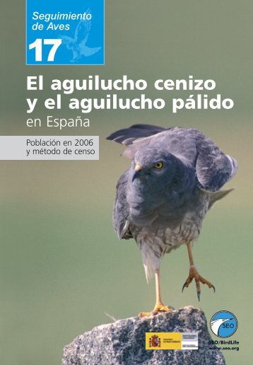 Aguiluchos cenizo y pÃ¡lido - SEO/BirdLife