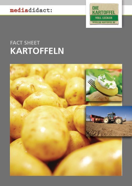 Kartoffeln