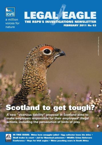 Legal Eagle 63 - RSPB