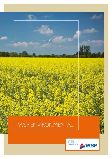 WSP ENVIRONMENTAL - WSP Group