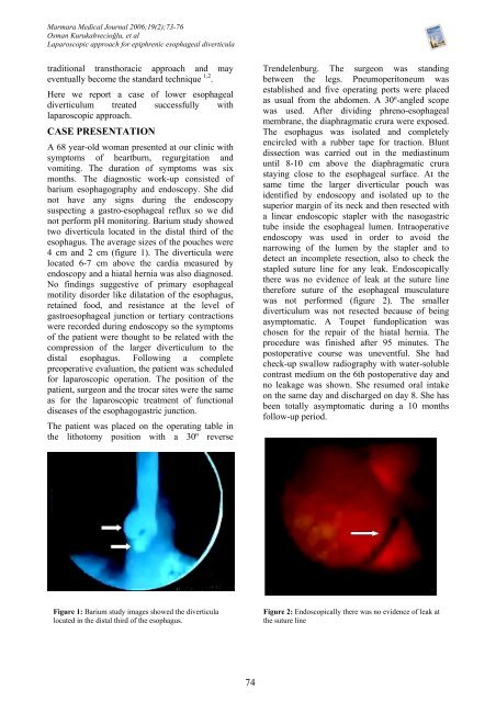 Tam Metin PDF (3983 KB) - Marmara Medical Journal