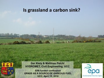 Is grassland a carbon sink?