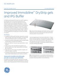 Improved Immobilineâ¢ DryStrip gels and IPG Buffer - Acefesa.es