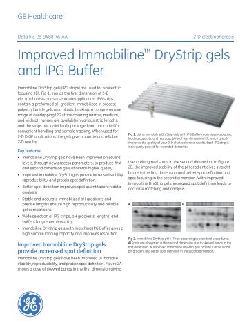 Improved Immobilineâ¢ DryStrip gels and IPG Buffer - Acefesa.es