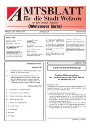 MTSBLATT fÃƒÂ¼r die Stadt Welzow