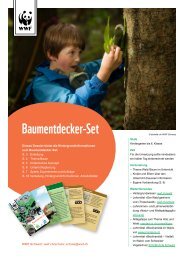 Baumentdecker-Set - WWF Schweiz