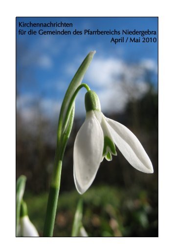 Kirchennachrichten fÃ¼r den Pfarrbereich Niedergebra April-Mai 2010