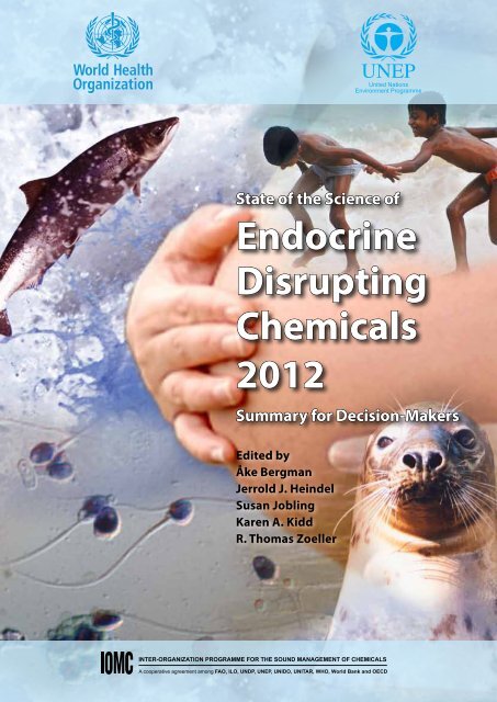 Endocrine Disrupting Chemicals 2012 - World Health Organization