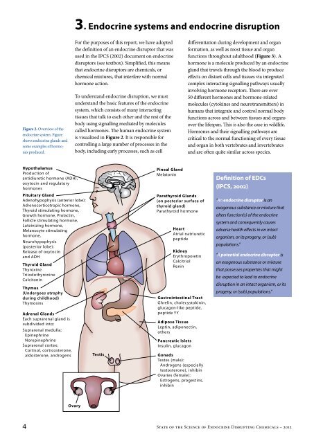 Endocrine Disrupting Chemicals 2012 - World Health Organization