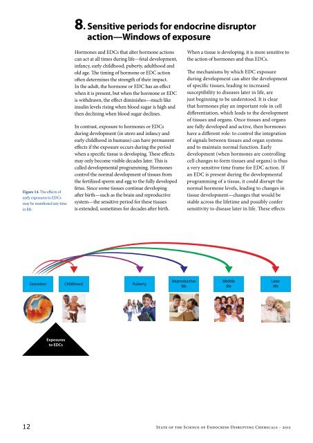 Endocrine Disrupting Chemicals 2012 - World Health Organization