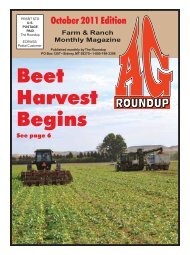October 2011 - The Roundup