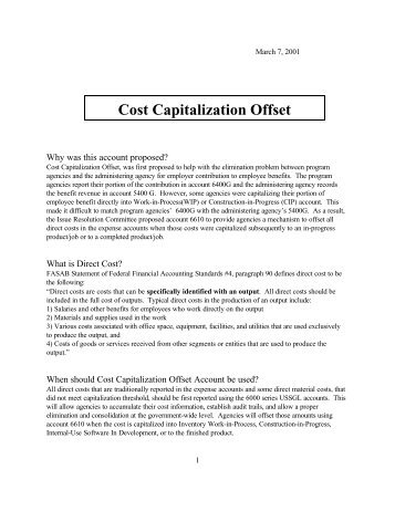 Cost Capitalization Offset - Financial Management Service