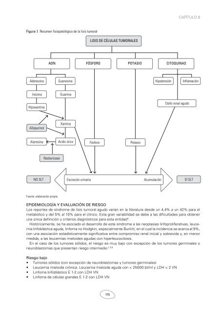 Soporte_Pediatrico_para_el_paciente_Oncologico_Febrero_2013