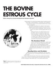 the bovine estrous cycle - Applied Reproductive Strategies in Beef ...