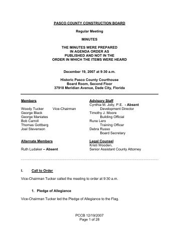 NI09-102 PCCB 121907 Mtg Minutes - Pasco County Government