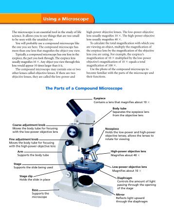 The Parts of a Compound Microscope - TeacherWeb