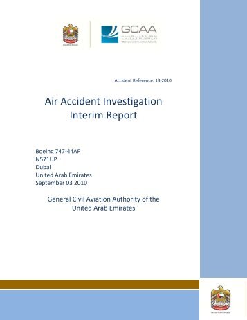 Air Accident Investigation Interim Report