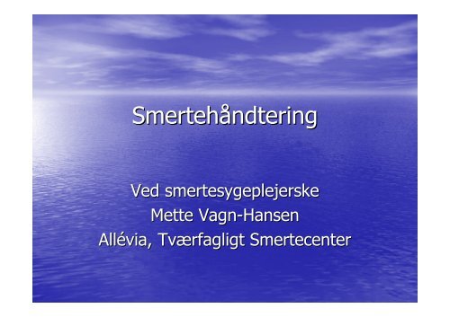 Se slides fra 29. september 2009 Mette Vagn Hansen