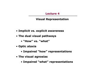 Lecture 4 â¢ Implicit vs. explicit awareness â¢ The dual visual pathways ...