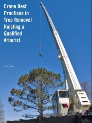 Crane Best Practices in Tree Removal - Treebuzz.com