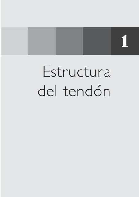 Estructura del tendón 1