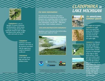 CLADOPHORA in - Wisconsin Department of Natural Resources