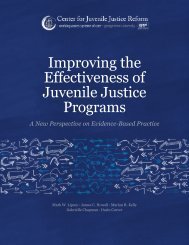 Improving the Effectiveness of Juvenile Justice Programs: A New
