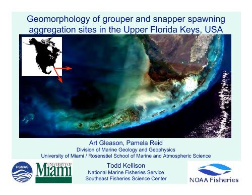 Geomorphology of grouper and snapper spawning aggregation ...