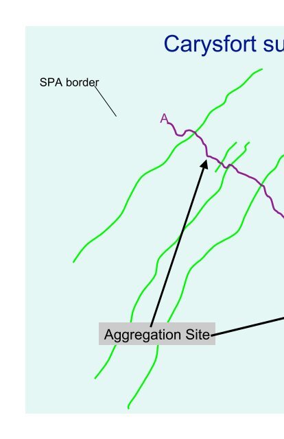 Geomorphology of grouper and snapper spawning aggregation ...